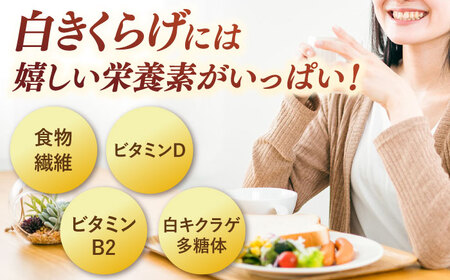 白きくらげパウダー 3袋セット 桂川町/オドラ株式会社 [ADBA004] きくらげ 木耳 きのこ