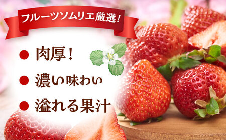 福岡産【春】 あまおう 6パック [ADBW010] あまおう 博多