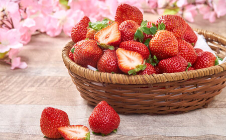 福岡産【春】 あまおう 6パック [ADBW010] あまおう 博多