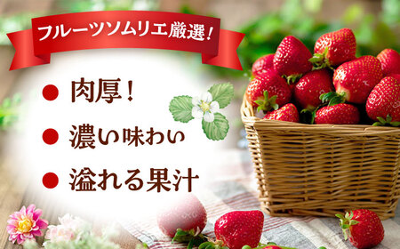 【2025年12月上旬より発送】福岡産【冬】 あまおう 2パック 桂川町/南国フルーツ株式会社 [ADBW011] あまおう 博多 福岡