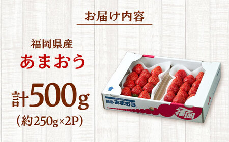 【2025年12月上旬より発送】福岡産【冬】 あまおう 2パック 桂川町/南国フルーツ株式会社 [ADBW011] あまおう 博多 福岡
