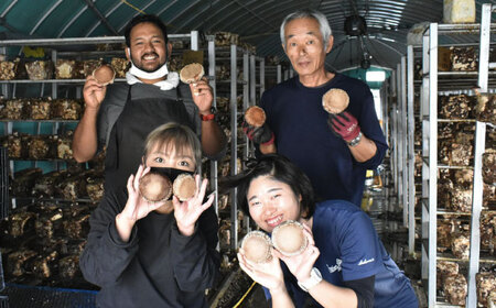 生しいたけ 1kg [ADBA014] しいたけ 椎茸 