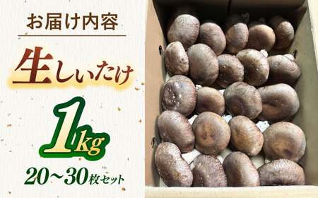 生しいたけ 1kg [ADBA014] しいたけ 椎茸 