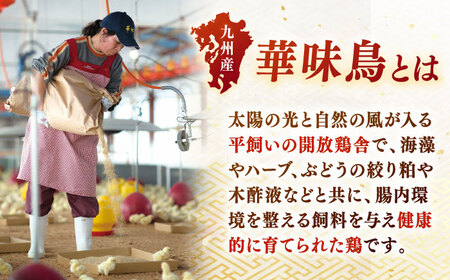 【年内発送】博多和牛×華味鳥 手ごね風 ハンバーグ [ADBN015] ハンバーグ 