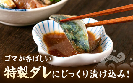 ごまサバ 120g×5袋 [ADAH043] サバ 鯖 福岡