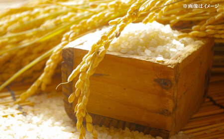 福岡県産米 夢つくし 10kg (5kg×2袋) 精米桂川町/有限会社ファインリョーコク [ADCE002] 