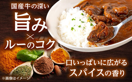 カレー 180g×10 [ADAQ144] 国産 牛 ビーフカレー レトルト