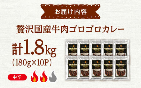 カレー 180g×10 [ADAQ144] 国産 牛 ビーフカレー レトルト