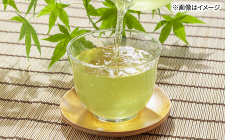 八女茶産地直送！ 中島製茶本舗 ご家庭用 煎茶 ティーバッグ 100パック 桂川町/一般社団法人地域商社ふるさぽ[ADCF002]