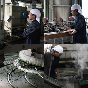 奥八女星野村 深蒸し高級煎茶(深蒸し茶)100g×1袋