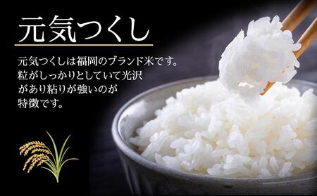 令和6年産新米>元気つくし無洗米2kg×5袋【米 お米 元気つくし 令和6年産新米>元気つくし無洗米2kg×5袋【米 お米 元気つくし