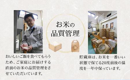 ＜令和6年産新米＞元気つくし無洗米2合真空パック10袋【米 お米 元気つくし こめ 真空パック 小分け 包装 ギフト プレゼント 贈答 備蓄 防災 備蓄米 備蓄食品 人気 国産 ブランド米 福岡県 筑前町 ふるさと納税】