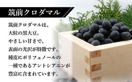 乳酸菌醗酵豆乳 ソイラクト (黒)  100ml×12本