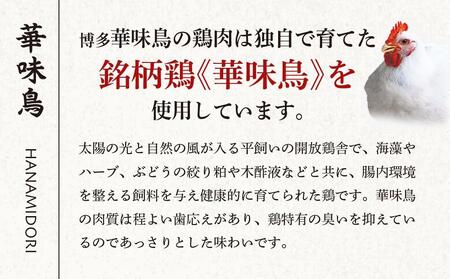 【年内発送】博多華味鳥　水たき・もつ鍋セット　６～８人前　H-C1W 博多 福岡 水炊き もつ鍋