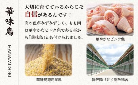 【年内発送】博多華味鳥　水たき・もつ鍋セット　６～８人前　H-C1W 博多 福岡 水炊き もつ鍋