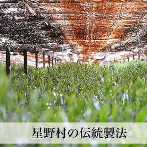 【2025年産】奥八女・星野村の伝統本玉露　80g ＜筑前町＞