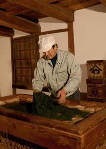 許斐本家14代目おススメの特撰品評会入賞玉露・煎茶の化粧箱入り２本詰合せ【八女茶老舗　創業300年余】（ギフト対応）