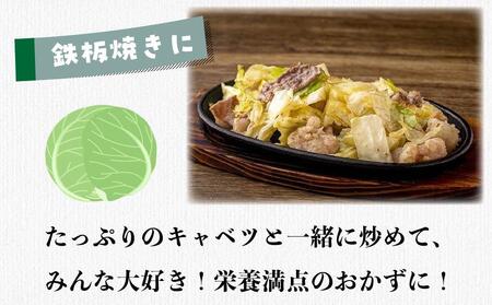 博多和牛ホルモン(もつ鍋・ホルモン焼き用)500g・焼肉のたれ付き【もつ鍋 ホルモン 牛もつ 人気もつ鍋 ギフトもつ鍋 贈り物 もつ鍋 鍋 ホルモン 小腸 焼肉 たれ ホルモン 】