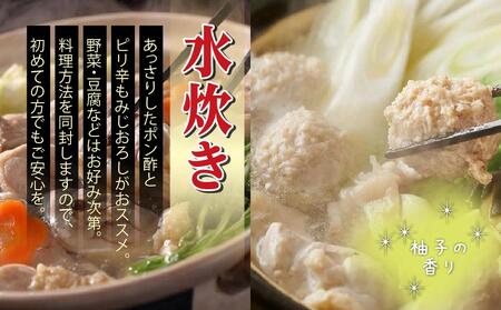 【博多の名物セット】九州産ハーブ鶏水炊き2人前&辛子明太子切子450g(筑前町)