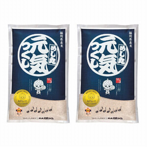 【令和7年産】福岡県産金のめし丸元気つくし　10kg(5kg×2袋)