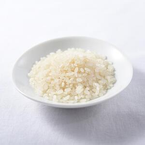 【令和7年産】福岡県産金のめし丸元気つくし　10kg(5kg×2袋)