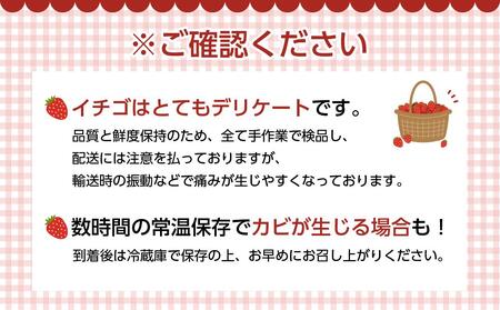 福岡産あまおう12-15粒ギフト箱※一部離島不可【あまおう 苺 いちご イチゴ フルーツ 果物 くだもの 旬 ギフト 贈答 甘い 美味しい 新鮮 福岡名物 福岡県 筑前町 ふるさと納税】