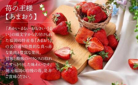 【先行予約】2026年2月から順次発送 福岡産【春】あまおう4パック【筑前町】※一部離島不可