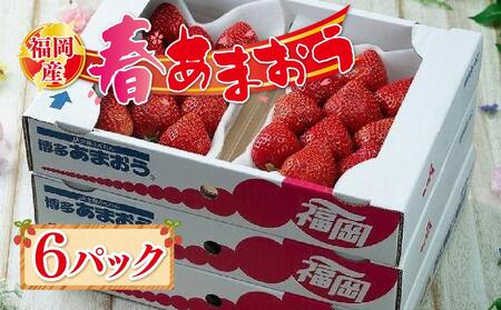 福岡産【春】あまおう6パック※一部離島不可【あまおう 苺 いちご イチゴ フルーツ 果物 くだもの 旬 ギフト 贈答 甘い 美味しい 新鮮 福岡名物 福岡県 筑前町 ふるさと納税】