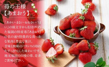 福岡産【冬】あまおう2パック【筑前町】※一部離島不可