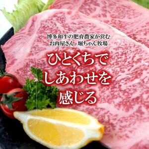 福岡県産 黒毛和牛A4ランク以上の博多和牛! 焼肉450g・特選スライス300g セット