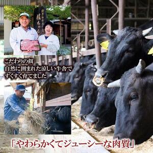 福岡県産 黒毛和牛A4ランク以上の博多和牛! 焼肉450g・特選スライス300g セット