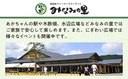 天然すっぽん鍋【1～2人前】【すっぽん スッポン コラーゲン 鍋 美容 福岡県 筑前町 ふるさと納税  】