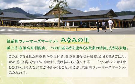 お豆腐食べ比べセット【まめ 豆 大豆 豆腐 お豆腐 とうふ 食べ比べ セット 食品 人気 おすすめ 福岡県 筑前町 ふるさと納税】