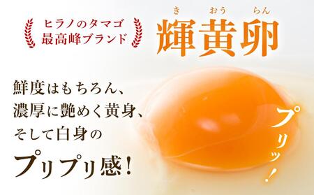 輝黄卵6個入×12パック【たまご 卵 タマゴ  新鮮 鮮度 黄身 白身 高品質 美味しい ご飯のお供 人気 おすすめ ブランド パック 福岡県 筑前町 ふるさと納税】