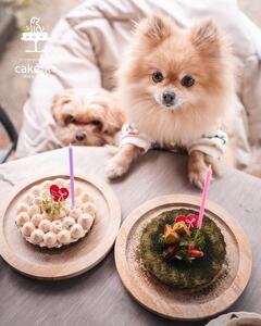 鹿肉のタルトケーキ風white(犬用)12cm