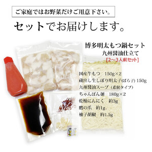 博多明太醤油もつ鍋セット(2~3人前)B024R