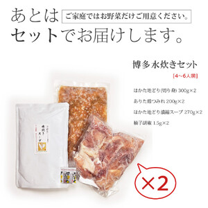 博多水炊き(はかた地どり切り身・つみれ)セット4~6人前 D29J