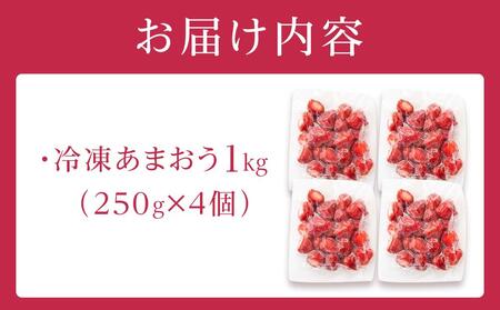 福岡県産 冷凍あまおう1kg(250g×4個)