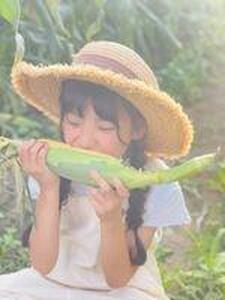 ＜2026年6月発送＞【完熟メロンのように甘い】朝採り!スイートコーン　約6kg15本前後【プレゼントにもオススメ】