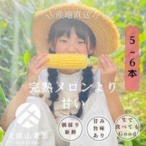＜2026年6月発送＞完熟メロンのように甘い朝採り!スイートコーン約5本　ちょっと食べてみたい方におすすめ!(約2kg)