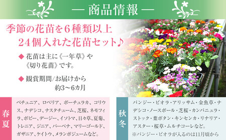 季節の花苗セット|花苗 ギフト ガーデニング