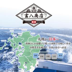 『定期便』訳あり 福岡直送 辛子明太子 600g ×全3回