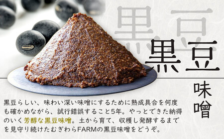 筑前クロダマル味噌セット(味噌500g、メシダマルシリーズ45g×4種)