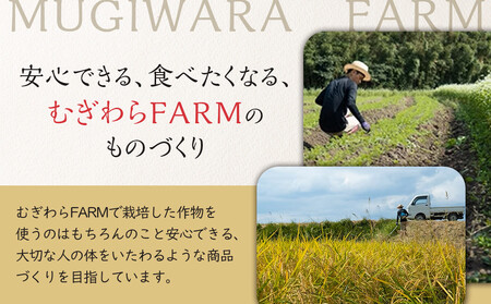 筑前クロダマル味噌セット(味噌500g、メシダマルシリーズ45g×4種)