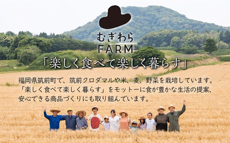 筑前クロダマル味噌セット(味噌500g、メシダマルシリーズ45g×4種)