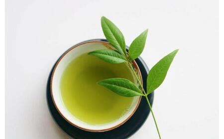 八女茶 【上】煎茶セット 100g×2袋