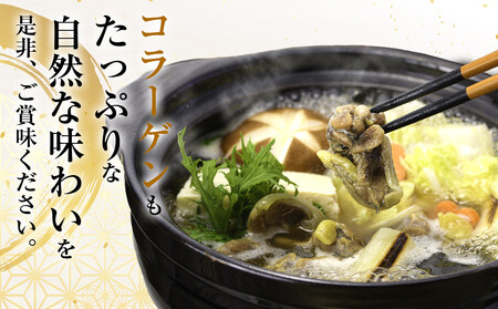 すっぽん鍋一人前と卵黄のはちみつ漬け