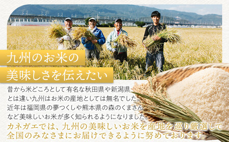 【令和7年産新米】【食味鑑定士厳選】福岡県産 夢つくし10kg (5kg×2袋)