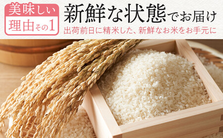 【定期便全3回】【令和7年産】【食味鑑定士厳選】福岡県産 夢つくし10kg (5kg×2袋) 合計 30kg