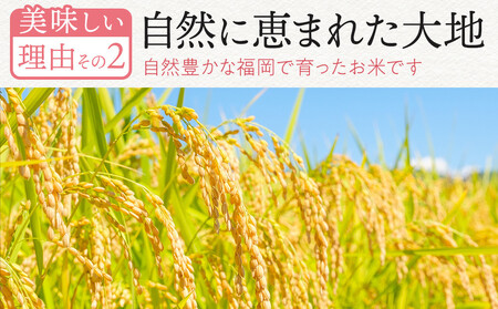 【定期便全3回】【令和7年産】【食味鑑定士厳選】福岡県産 夢つくし10kg (5kg×2袋) 合計 30kg